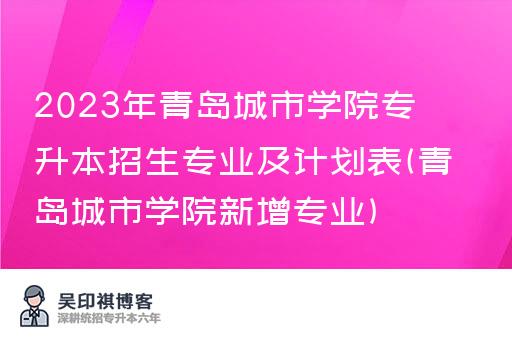 2023年青岛城市学院专升本招生专业及计划表(青岛城市学院新增专业)