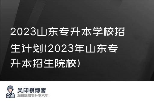 2023山东专升本学校招生计划(2023年山东专升本招生院校)