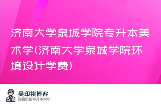 济南大学泉城学院专升本美术学(济南大学泉城学院环境设计学费)