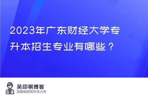 2023年广东财经大学专升本招生专业有哪些？