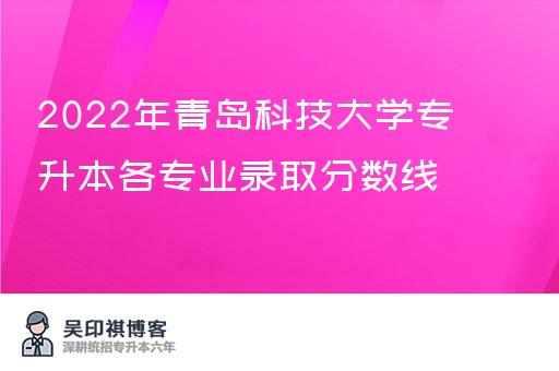 2022年青岛科技大学专升本各专业录取分数线