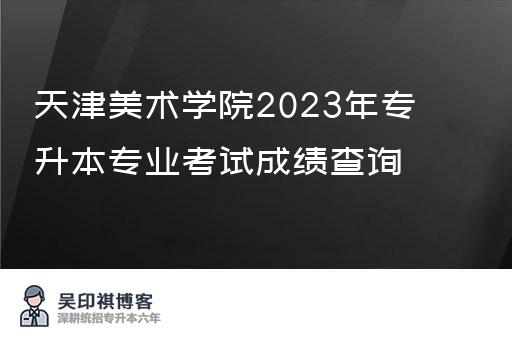 天津美术学院2023年专升本专业考试成绩查询